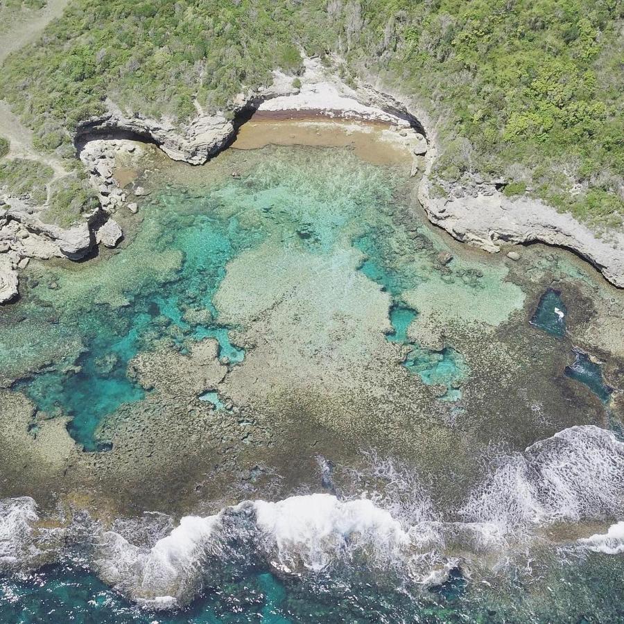 Jolie Petite Villa Sur Une Presqu'Ile Le Gosier  Eksteriør bilde